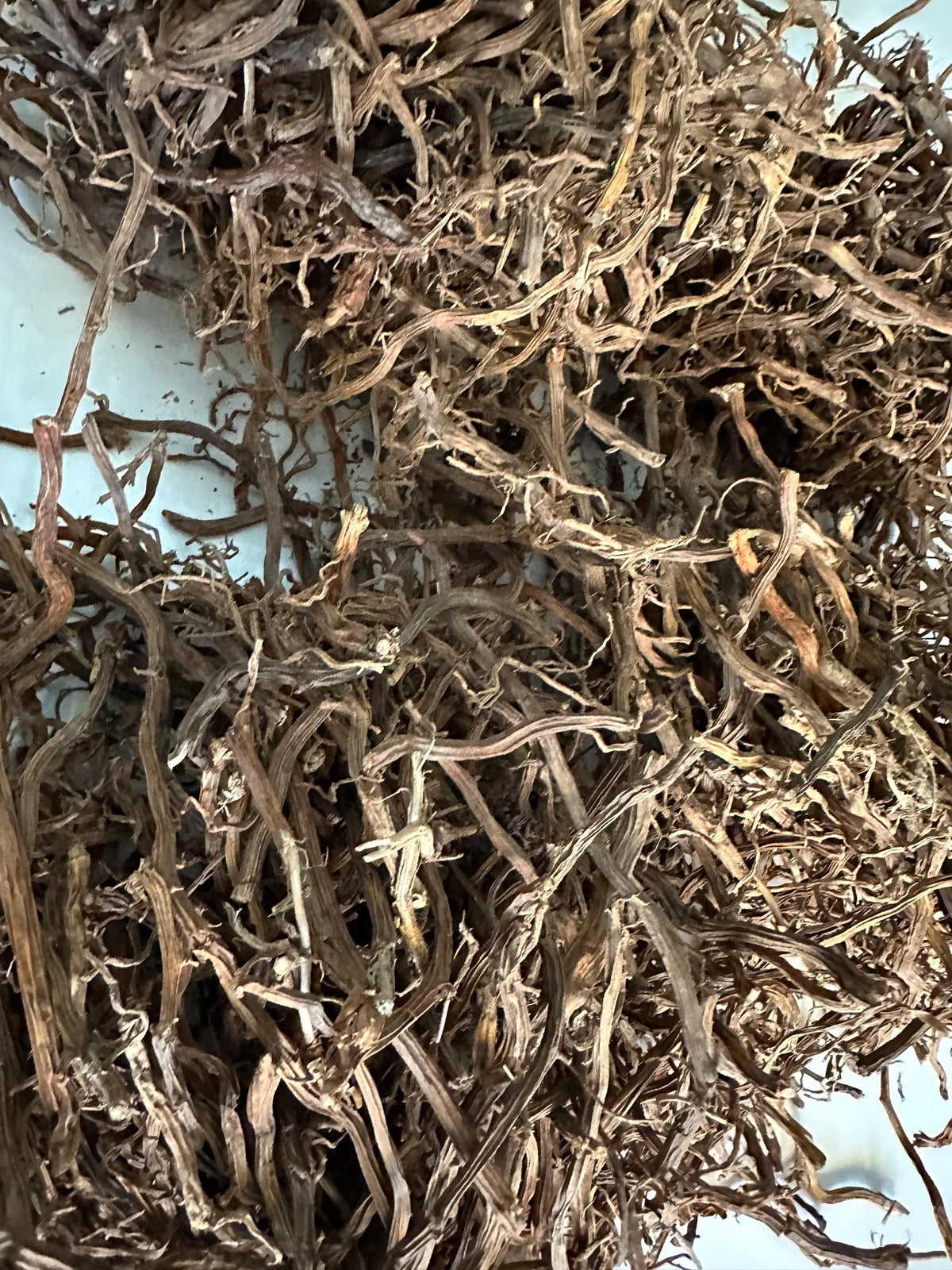 Jamaican Smilax Root – Wildcrafted Herbal Tea