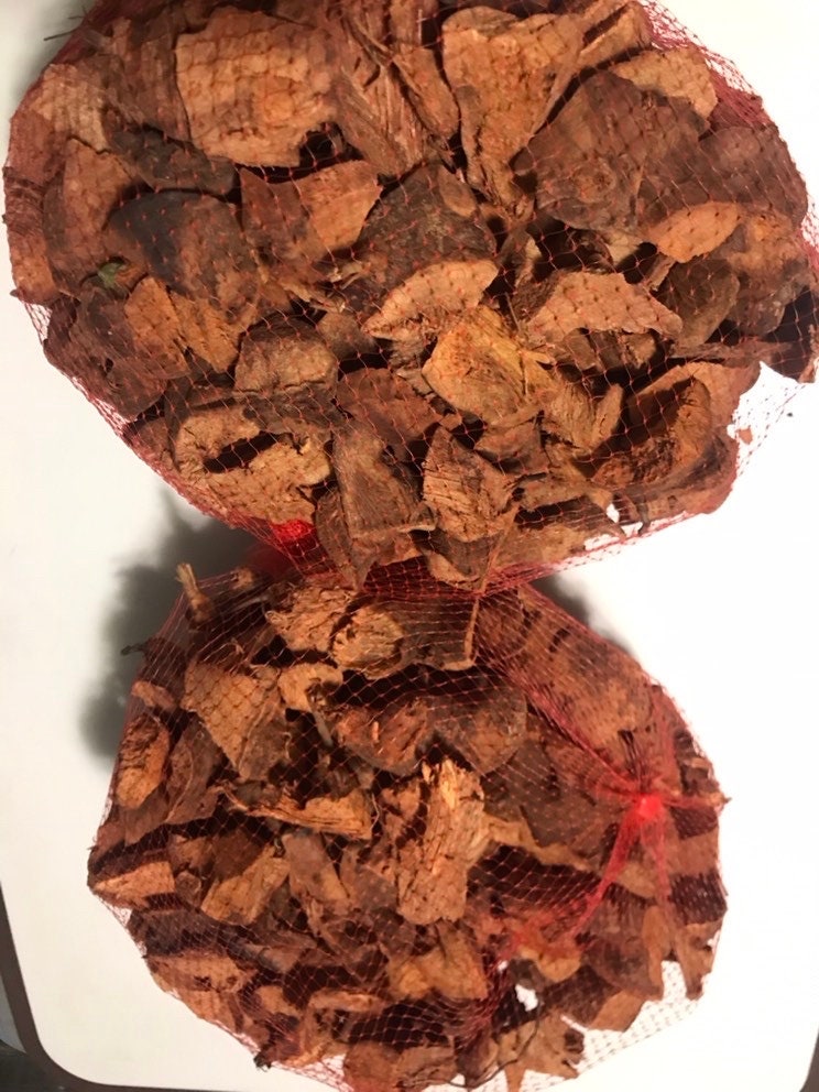 Chaney Root Herb – Wildcrafted Jamaican Iron Tonic