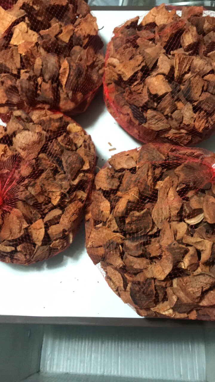 Chaney Root Herb – Wildcrafted Jamaican Iron Tonic