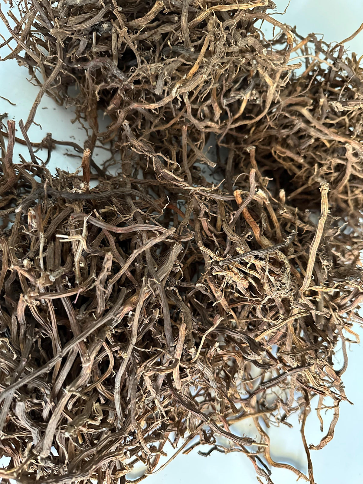 Jamaican Smilax Root – Wildcrafted Herbal Tea