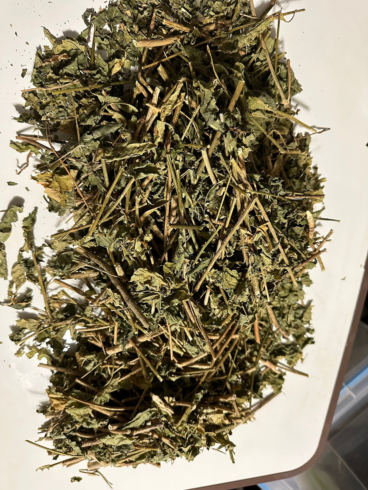 Guinea Hen Weed Leaves – Anamu & Gully Root
