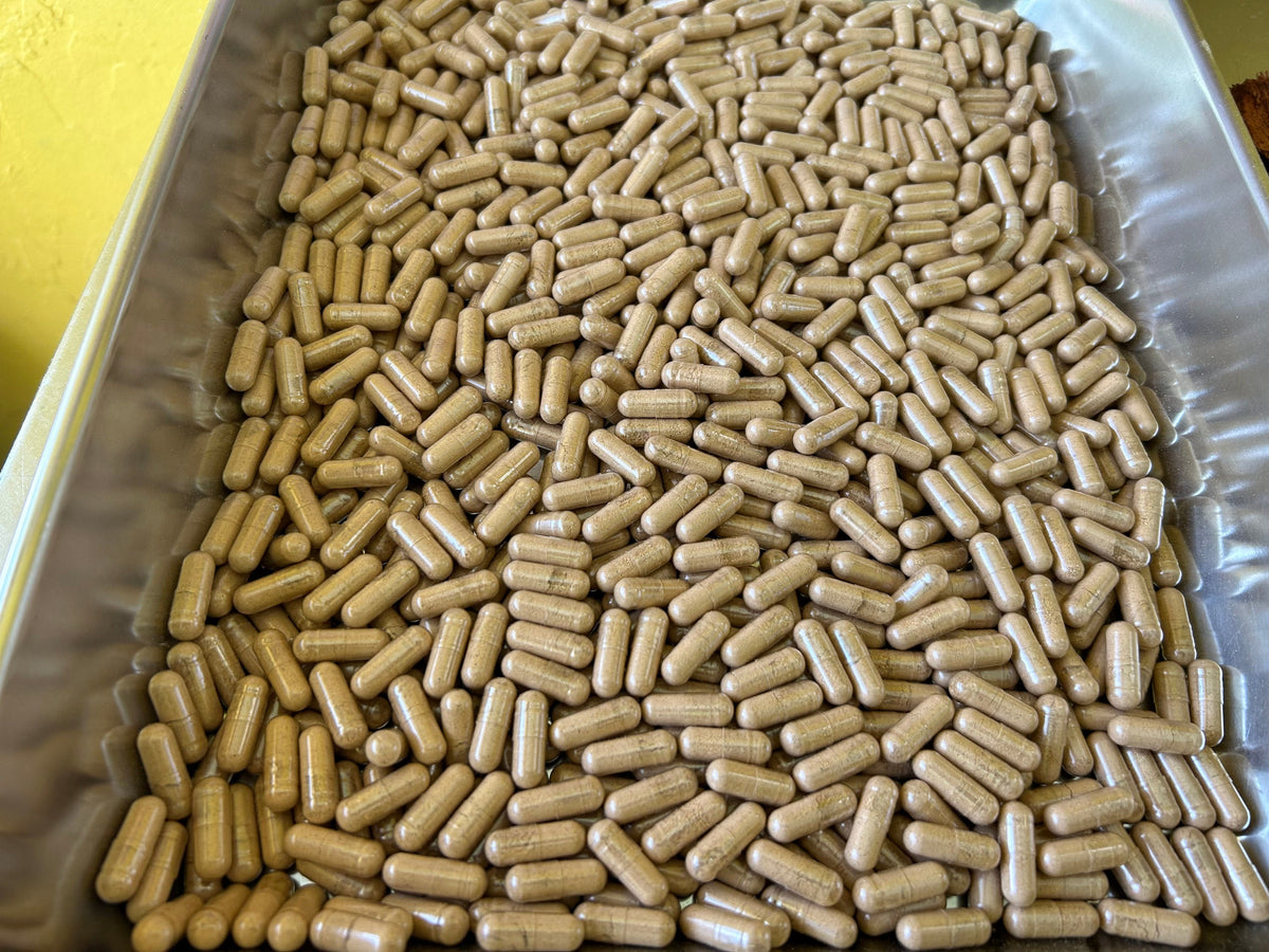 Jamaican Chaney Root Capsules – Wildcrafted