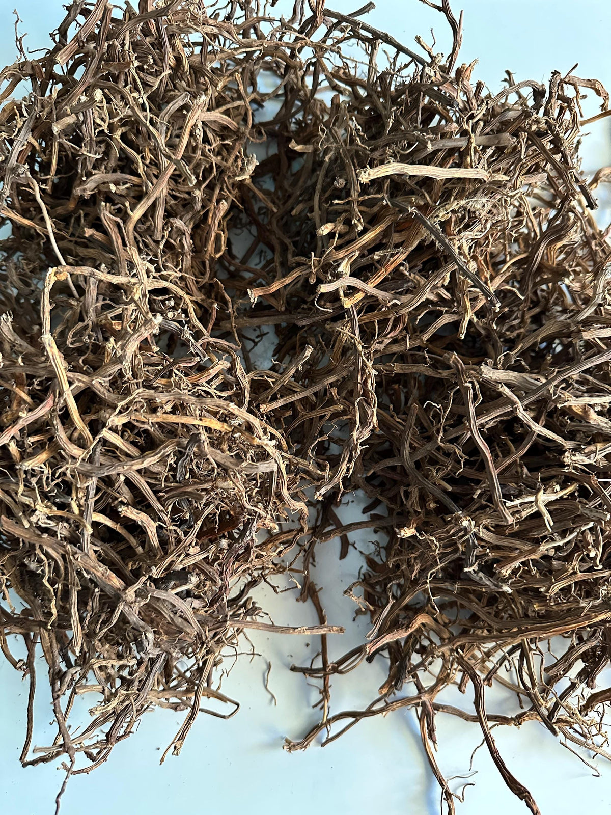 Jamaican Smilax Root – Wildcrafted Herbal Tea