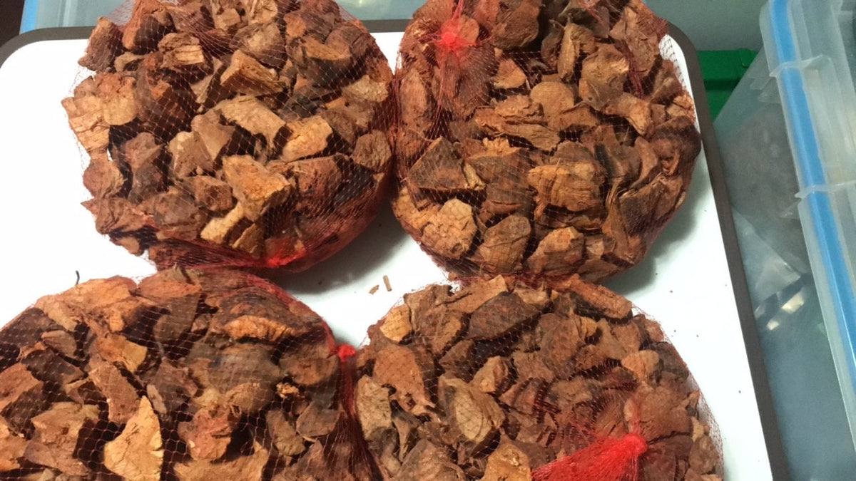 Chaney Root Herb – Wildcrafted Jamaican Iron Tonic