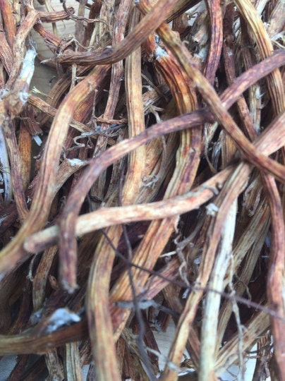 Jamaican Sarsaparilla Root Capsules – Dr. Sebi Alkaline